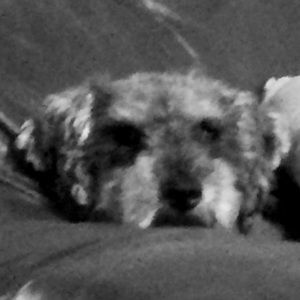 Meet your Posher, Nelly